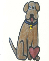 meddog_jpeg.png