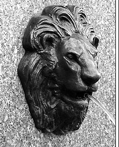 lion_shead.jpg